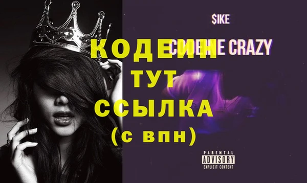амф Новозыбков