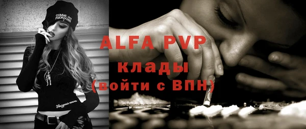 амф Новозыбков
