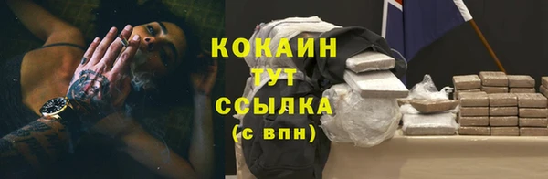 амф Новозыбков