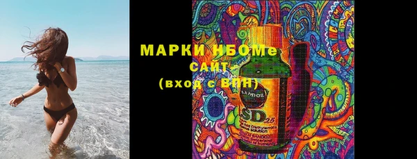 амф Новозыбков