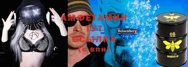 амф Новозыбков