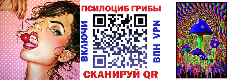 сколько стоит  Кириши  Галлюциногенные грибы Psilocybe 