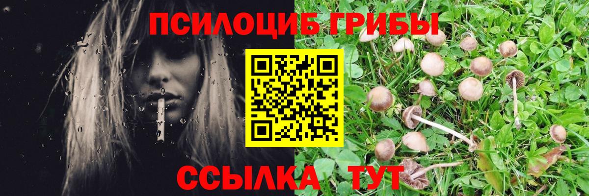 Галлюциногенные грибы мухоморы Кириши